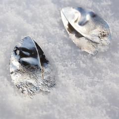 Earrings ASH ALTA velike